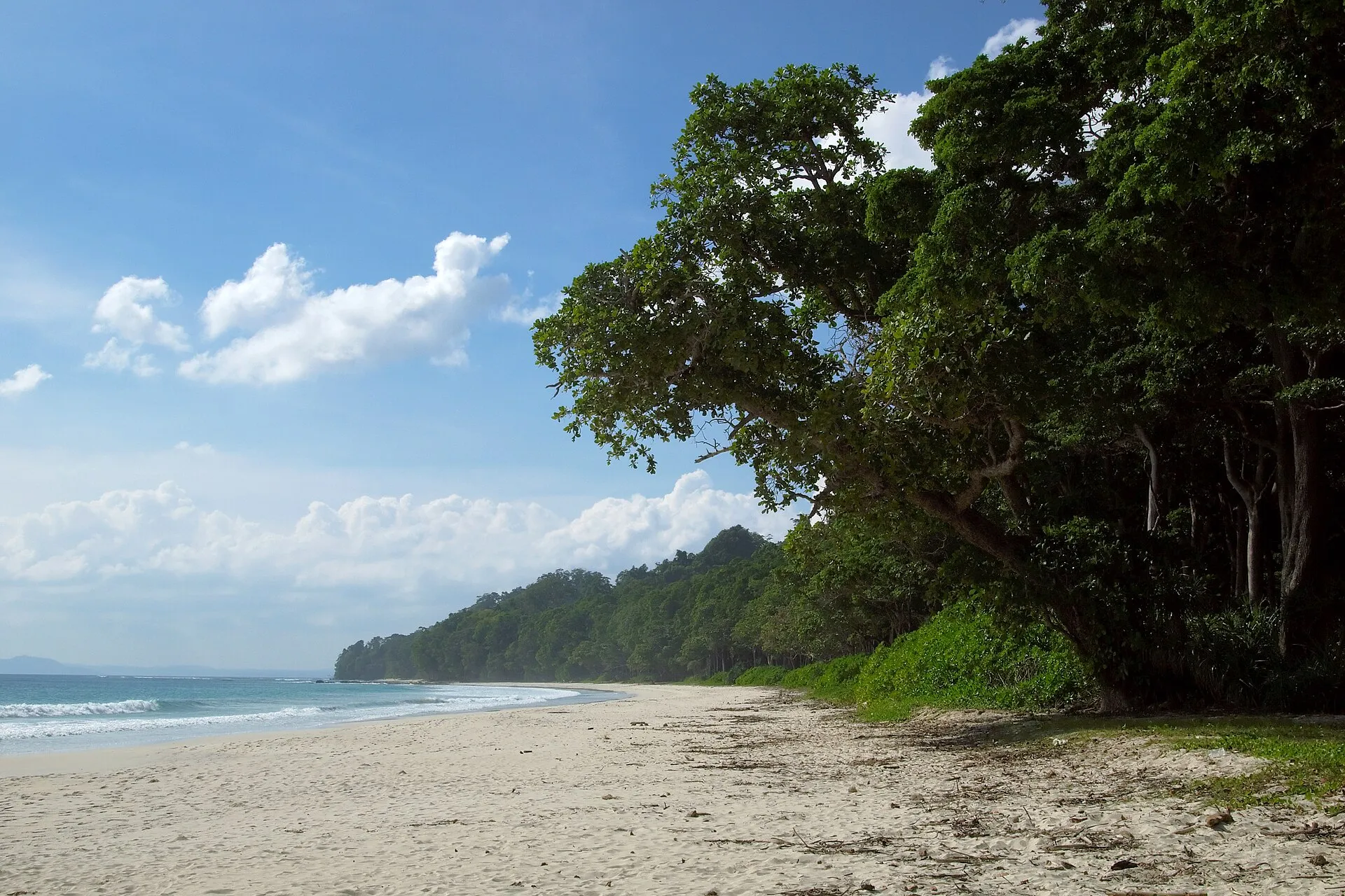 Andaman holiday package