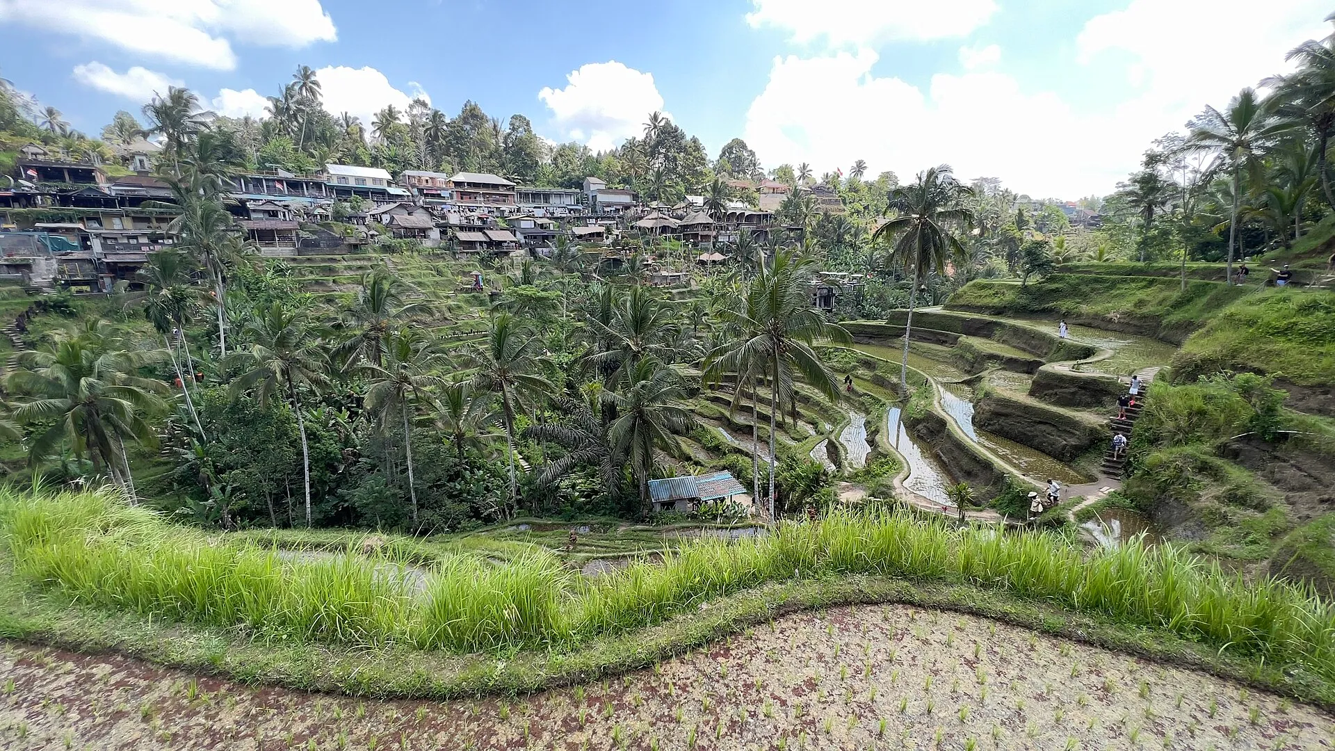 Bali — travel destination