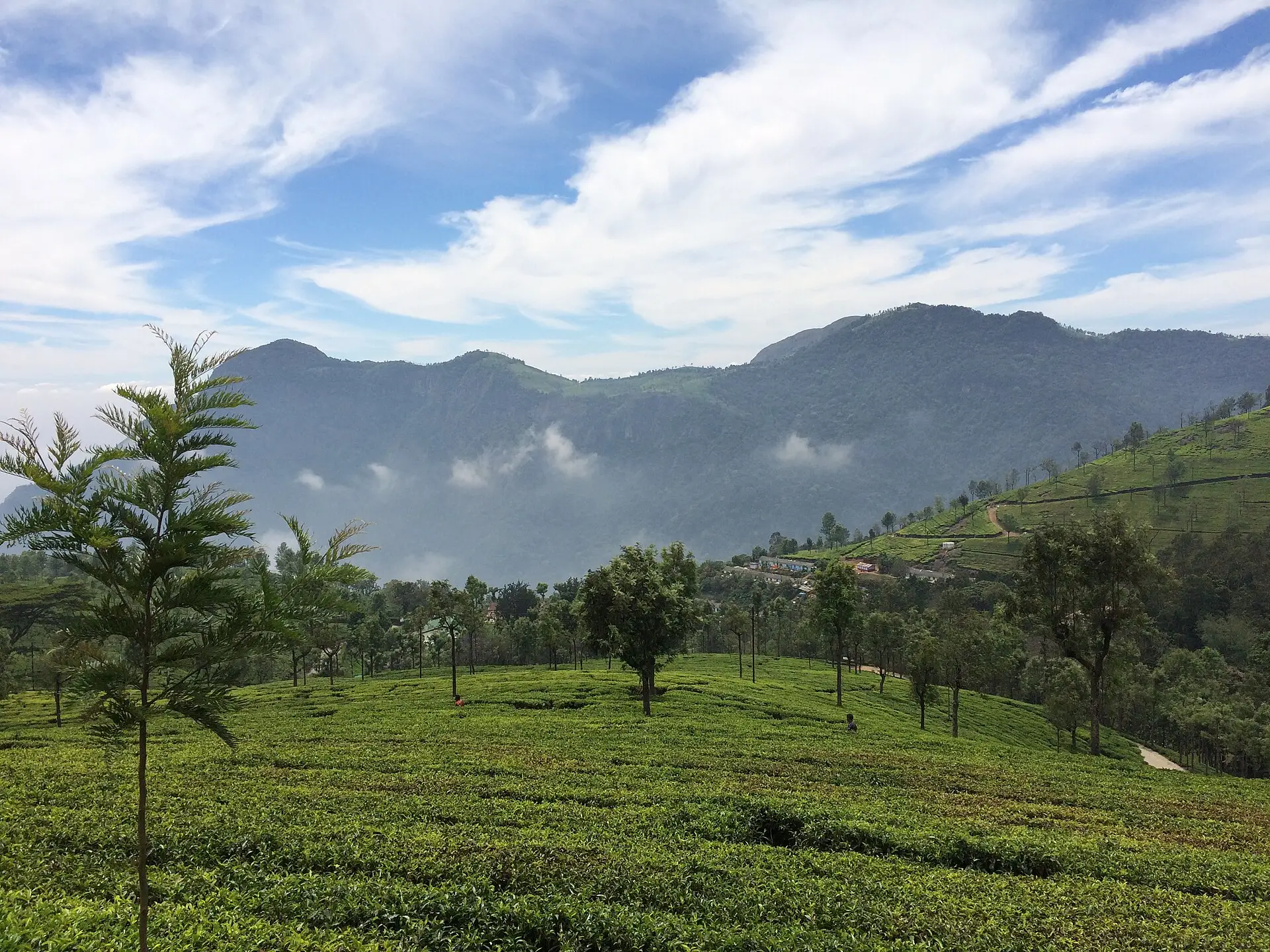 South India